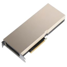 Karta graficzna PNY NVIDIA A100 Module 80 GB HBM2e ECC 5120-bit, PCIe 4.0 x16, Dual Slot, ATX bracket, NVlink Support, 1x 8-pin 