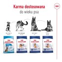 Karma Royal Canin Dog Food Maxi Ageing (15 kg )