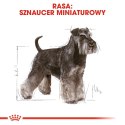 ROYAL CANIN BHN Miniature Schnauzer Adult - sucha karma dla psa dorosłego - 3kg