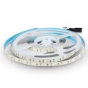 Taśma LED V-TAC VT-5-120 600LED SAMSUNG CHIP 2835 12V IP20 12W/m 6000K 1200lm (SKU 325)