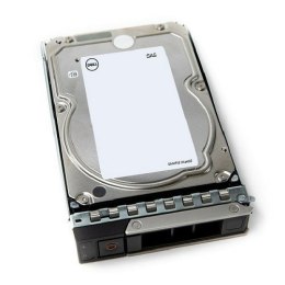 DELL 161-BCJX dysk twardy 12 TB 7200 RPM 3.5